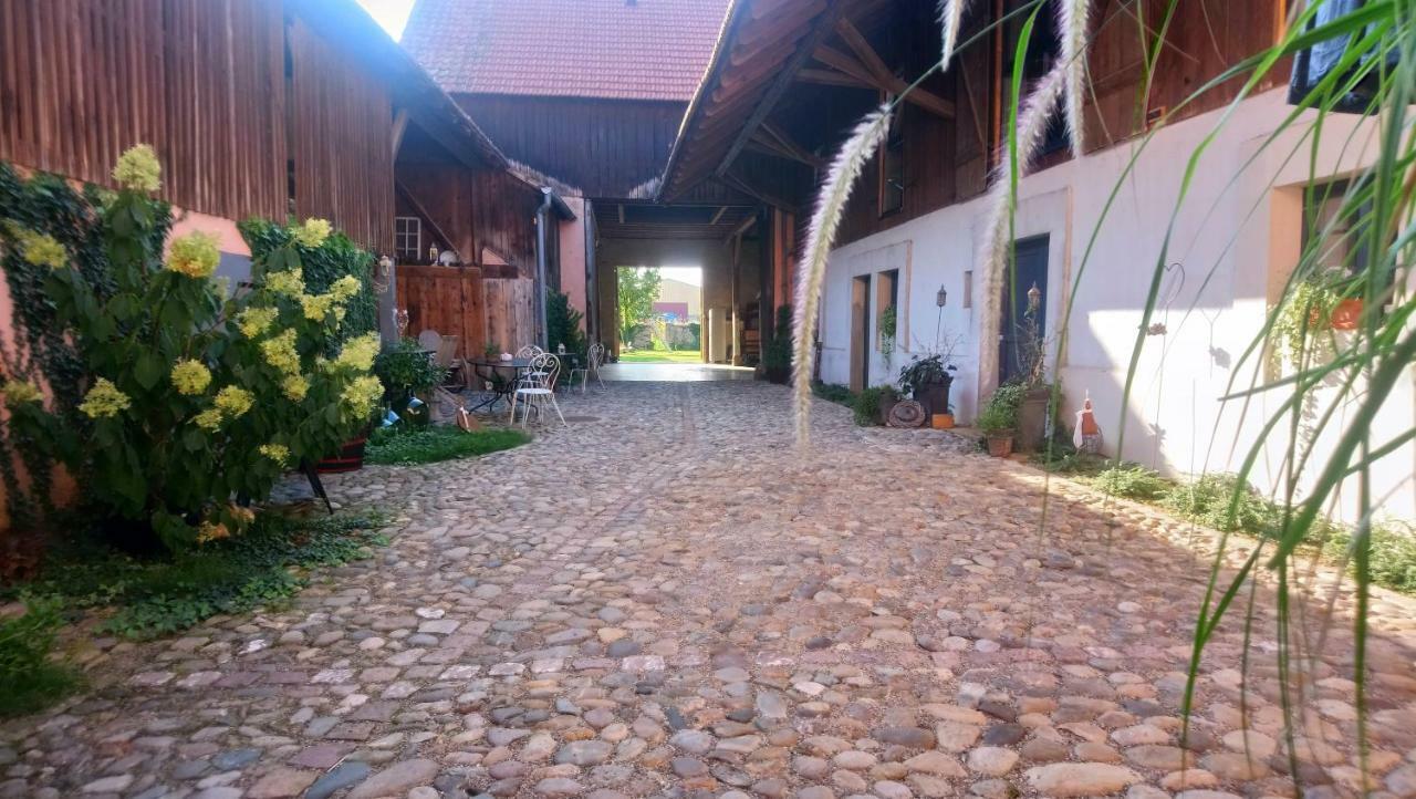 Bed and Breakfast Cote Cour Bischwihr Colmar Zewnętrze zdjęcie