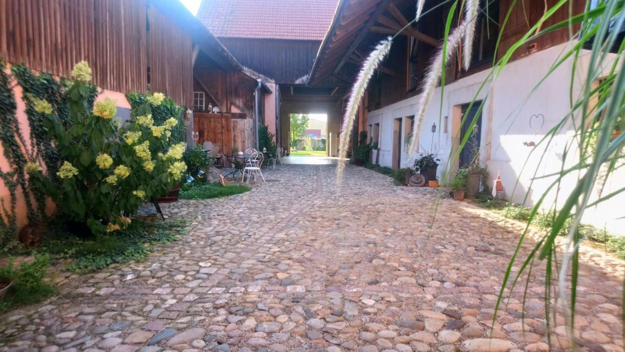Bed and Breakfast Cote Cour Bischwihr Colmar Zewnętrze zdjęcie